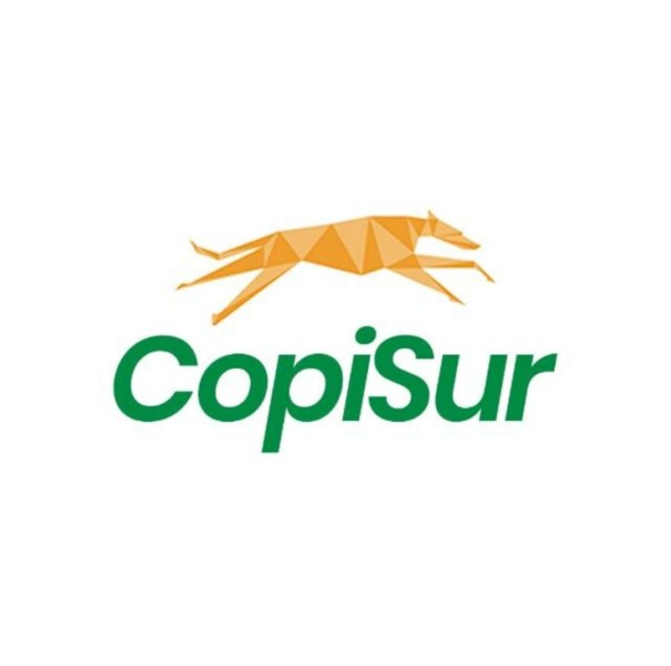 Copisur